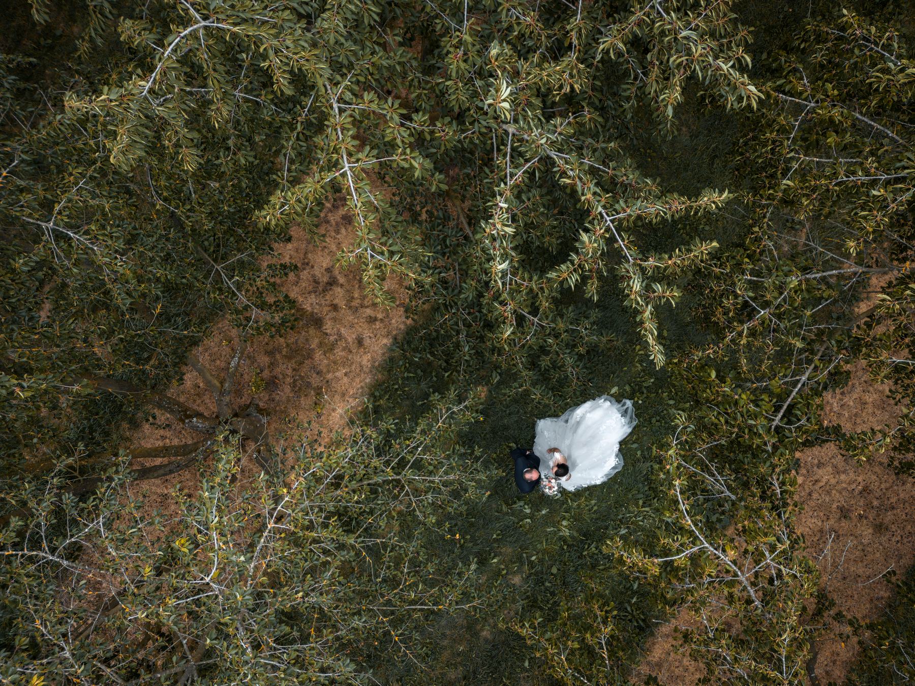 Hochzeit von Sabine & Felix – oertel. fotografie